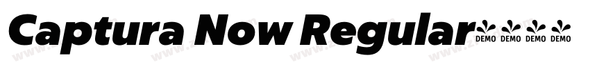 Captura Now Regular字体转换